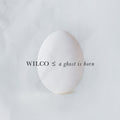 the album cover for Wilco - A Ghost Is Born (Deluxe Edition) -  [2 CD]