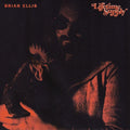 the album cover for Brian Ellis - Lifetime Supply