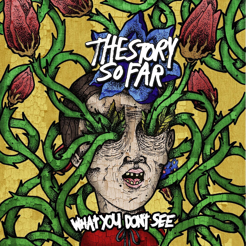 the album cover for The Story So Far - What You Don't See
