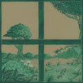 the album cover for Dirty Projectors / David Longstreth  / Stargaze - Song Of The Earth [Indie Exclusive]