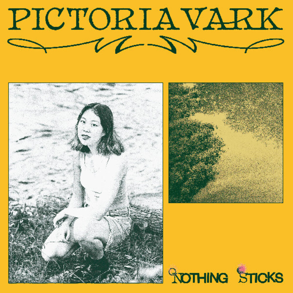 the album cover for Pictoria Vark - Nothing Sticks
