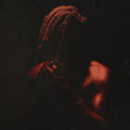 the album cover for Flying Lotus - The Spirit Box [RSD 2025]