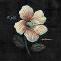the album cover for Buho - Balance (Blk) (Blue) [Colored Vinyl] [Reissue]