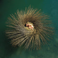 the album cover for Peter Gabriel - OVO