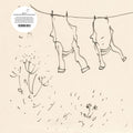 the album cover for Annie a - The Wind That Had Not Touched Land