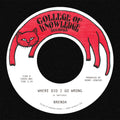 the album cover for Brenda - Where Did I Go Wrong B/W Family