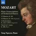 the album cover for Tung Nguyen - Piano Transcriptions Of Orchestral Dances