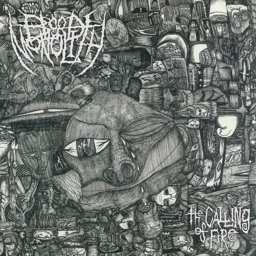 the album cover for Blood Monolith - The Calling Of Fire