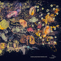 the album cover for Hans Roedelius -Joachim - Pink Blue & Amber (Gate) [Limited Edition] [180 Gram] [With Booklet] (Auto)