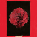 the album cover for Activity - Thousand Years In Another Way