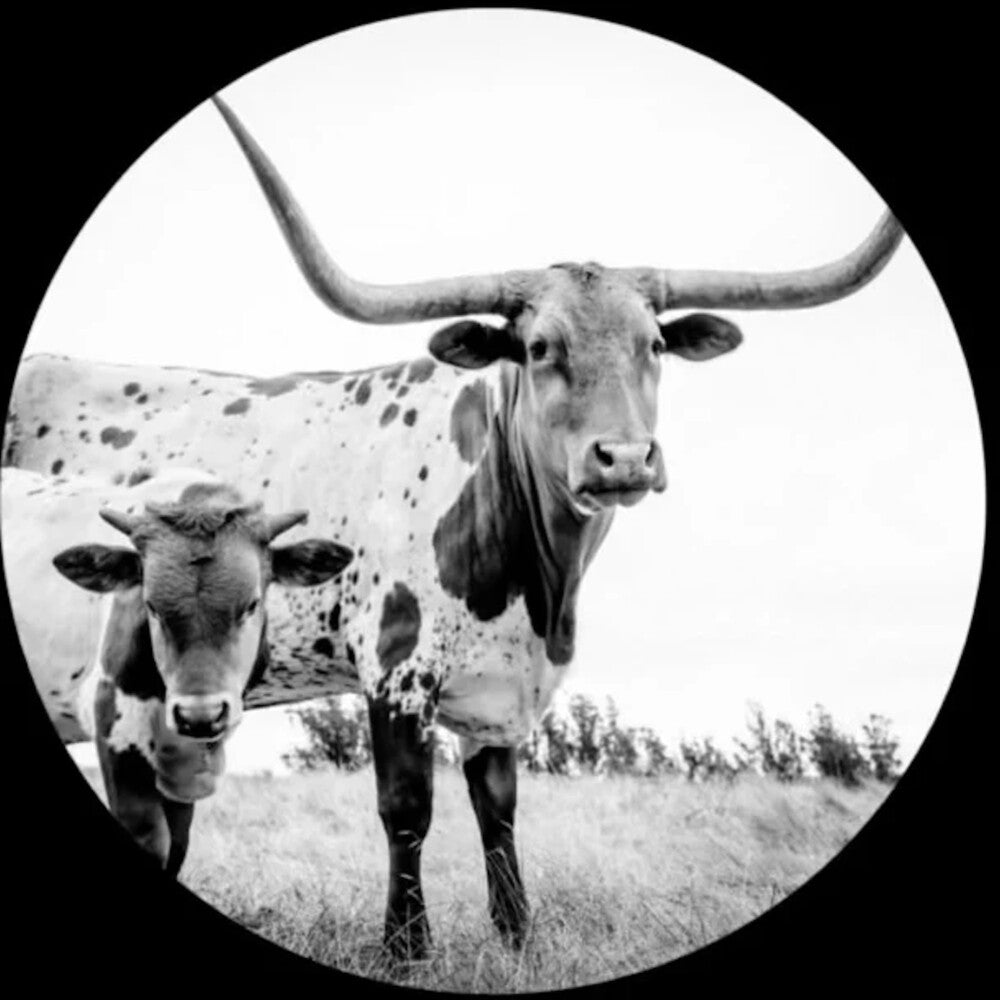 the album cover for Mike Flanigin - West Texas Blues (Pict) (Pcrd)