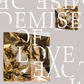 the album cover for Demise of Love - Demise Of Love