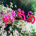 the album cover for Hirs Collective - We're Still Here
