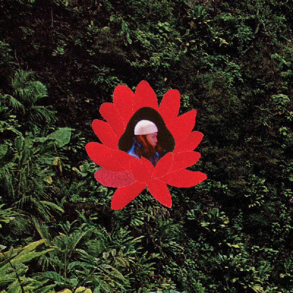 the album cover for Lionmilk - When The Flowers Bloom