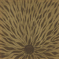 the album cover for Willem Nyland - Piano Studies 337