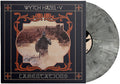 the album cover for Wytch Hazel - V: Lamentations [LP Citadel Stone Marbled]