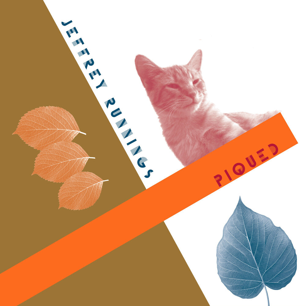 the album cover for Jeffrey Runnings - Piqued (Wtwv)