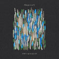 the album cover for Kerosene Heights - Blame It On The Weather (Blue) [Colored Vinyl]
