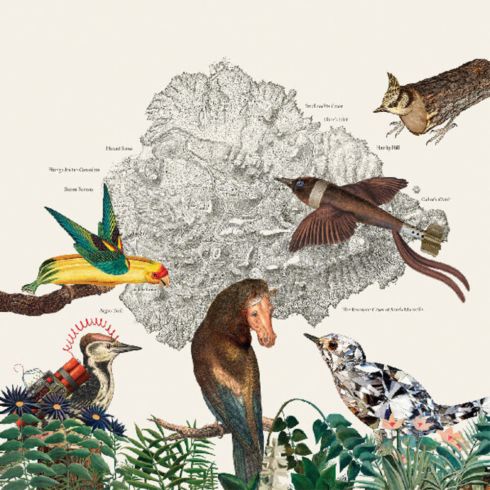 the album cover for Friendly Rich - The Birds of Marsville