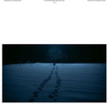 the album cover for Ezaki Ayatake  (Jpn) - 5 Centimeters Per Second Live-Action Movie - Ost