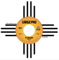 the album cover for Large Professor - In the Sun