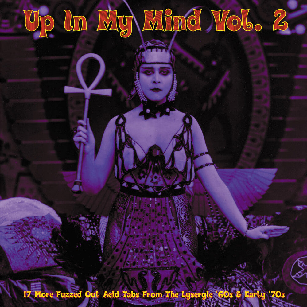 the album cover for Up In My Mind Vol 2: 17 More Fuzzed Out Acid / Var - Up In My Mind Vol 2: 17 More Fuzzed Out Acid / Var