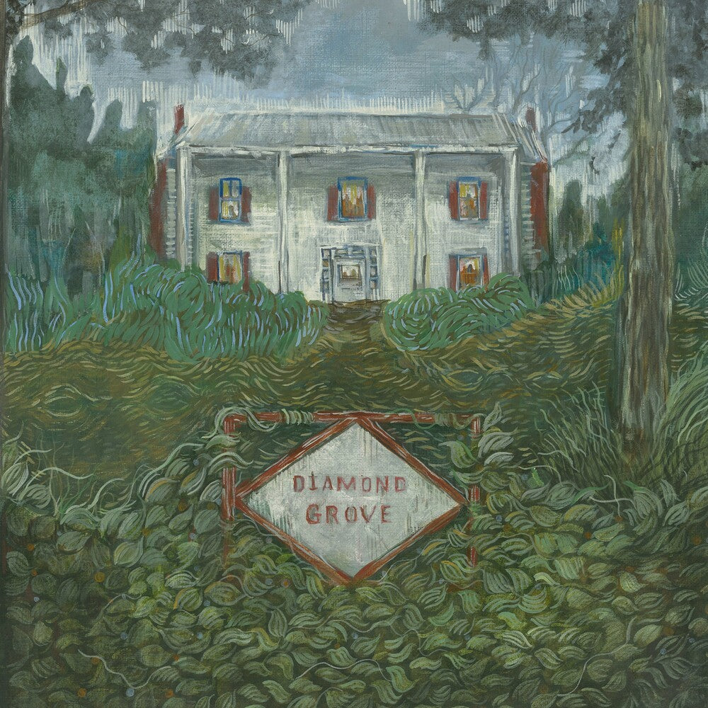 the album cover for Weirs - Diamond Grove