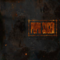 the album cover for Pupil Slicer - Fleshwork