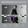 the album cover for Ian Anderson - Walk Into Light