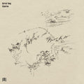 the album cover for Eyvind Kang - Riparian