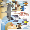 the album cover for Guide to the Birdsong of Migration / Various - A Guide to the Birdsong of Migration (Various Artists)
