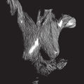 the album cover for Oceansize - Self Preserved While The Bodies Float Up (Aniv)