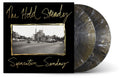 the album cover for The Hold Steady - Separation Sunday - 20 Year Anniversary Edition [Indie Exclusive Gold Swirl LP]