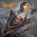 the album cover for Wormhole - Almost Human (transparent Yellow Vinyl Edition)