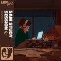 the album cover for 5 A.M. Study Session / Various - 5 A.M. Study Session / Various [Colored Vinyl]