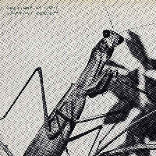 the album cover for Courtney Barnett - Creature of Habit [Indie Exclusive Caramel]