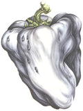 the album cover for Ween - White Pepper [Green]