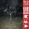 the album cover for This Is Lorelei - Box For Buddy Box For Star - Super Deluxe [Colored Vinyl]