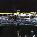 the album cover for Gilla Band - Pugnello