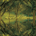 the album cover for Band Of Horses - Everything All The Time (20th Anniversary Edition)