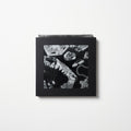 the album cover for Lex XX - Lex XX [180 Gram + Book]