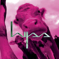 the album cover for Hijss - Hijss [Colored Vinyl] (Mgta) (Wht)