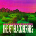 the album cover for Jet Black Berries - Sundown On Venus (Definitive Edition)