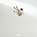 the album cover for Daniel Caesar - Pilgrim's Paradise (Blk) [Colored Vinyl] (Gate) [180 Gram] (Wht)