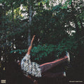 the album cover for Chester Watson - fish don't climb trees