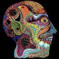 the album cover for Osees - Cara Maluco