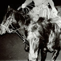 the album cover for Holy Motors - Heaven's Night