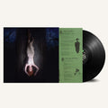 the album cover for Maddie Medley - Fawn's Enemy