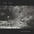the album cover for Pet Fox - Balance - Cobweb [Colored Vinyl]