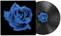 the album cover for Current Joys - Rosebud